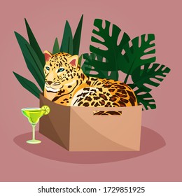 Leopard chilling in a carton box like a domestic cat with a glass of Margarita and tropical leaves on the background. Ironic fashionable illustration.