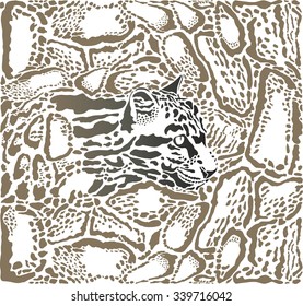 Leopard Clouded background