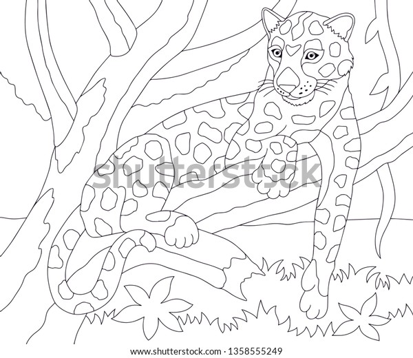 √ Wild About Cats Coloring Book : Written By Tim Jeffs Wild Cats A