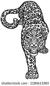 Leopard Crawl Stalking. Crawling Spotted Panther. Creeping Big Cat. Front View Isolated Vector Illustration