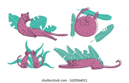 Leopard Curling Up on Palm Leaves Vector Set. Stylized Funny African Animal.