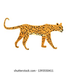Leopard cute trend style, animal predator mammal, jungle. Vector illustration isolated on white background