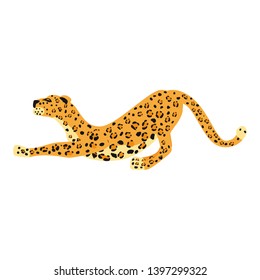 Leopard cute trend style, animal predator mammal, jungle. Vector illustration isolated on white background