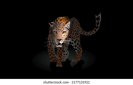 Leopard in the dark walking, vector, Hunting style big cat print on black background. 