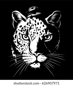 Leopard in darkness