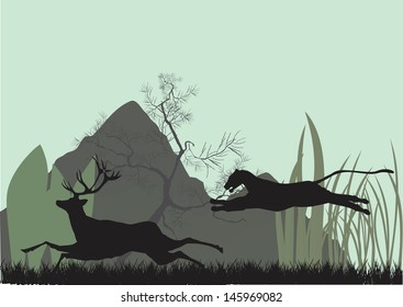Leopard and deer moment of hunting
