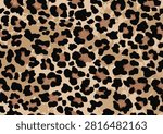 leopard design hand drawn vector