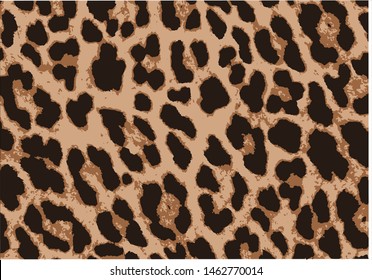 leopard design vector design hand drawn
