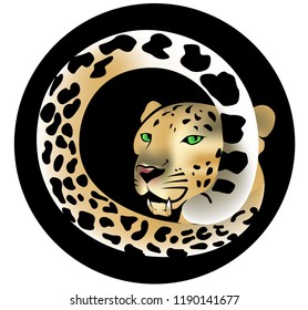 Leopard elegant silhouette. Lepoard logo in vector