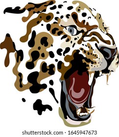 
Leopard face in color. Vector illustration.