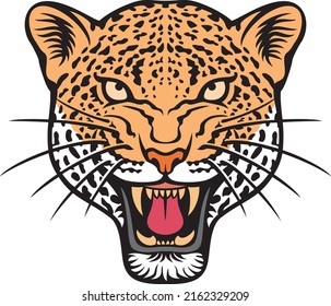 Leopard face color vector illustration