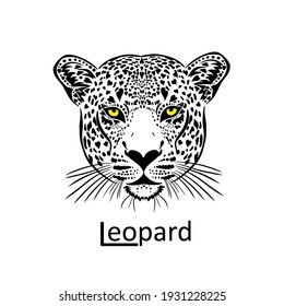 Leopard face. Graphic image. Vector illustration