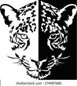 Leopard face logo ,Vector 