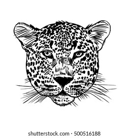 Leopard face tattoo ,Vector illustration, print