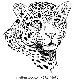 Leopard face tattoo ,Vector illustration, print