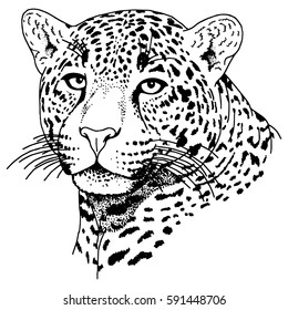 Leopard face tattoo ,Vector illustration, print