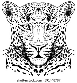 Leopard face tattoo ,Vector illustration, print