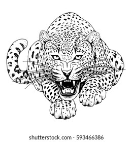 Leopard face tattoo ,Vector illustration, print