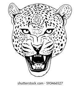 Leopard face tattoo ,Vector illustration, print