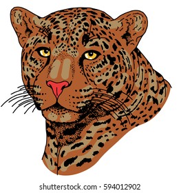 Leopard face tattoo ,Vector illustration, print