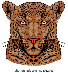 Leopard face tattoo ,Vector illustration, print