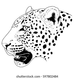 Leopard face tattoo ,Vector illustration, print