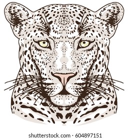 Leopard face tattoo ,Vector illustration, print