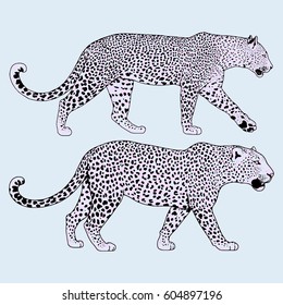 Leopard face tattoo ,Vector illustration, print