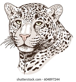 Leopard face tattoo ,Vector illustration, print