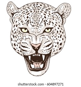35+ Ideas For Angry Jaguar Face Drawing