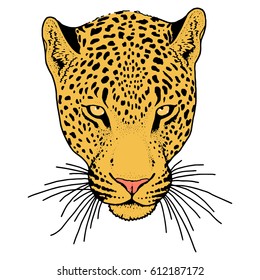 Leopard face tattoo ,Vector illustration, print