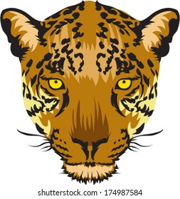 Leopard face Vector 