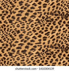 Leopard fashion new print leopard