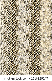 Leopard Fashion Pattern
