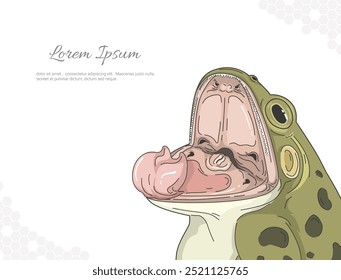 Leopard frog open mouth vector art for wall decoration. realistic animal images. Hand drawn wild animal isolated. for room decoration, events, etc