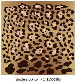 Leopard fur pattern design, pardus and panthera vector illustration background.