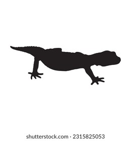 leopard gecko silhouette set collection isolated black on white background vector illustration