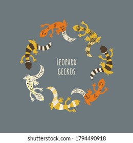 Leopard geckos in circle. Gecko lizard in different colors. Exotic pet creative illustration for web or print. - Vector