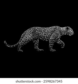 Leopard hand drawing illustration isolated on black background.