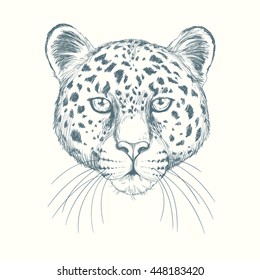 Leopard. hand drawn illustration of a leopard's head