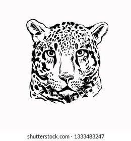 Leopard head black and white illustration
