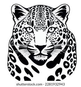 leopard head drawing vector graphics