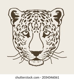 17,135 Leopard head vector Images, Stock Photos & Vectors | Shutterstock