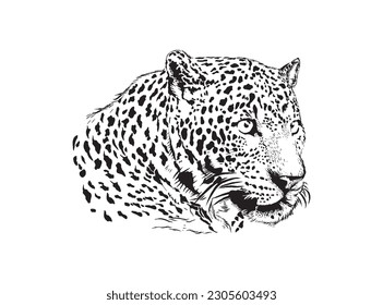 leopard head hand drawing, cut out and printable vector