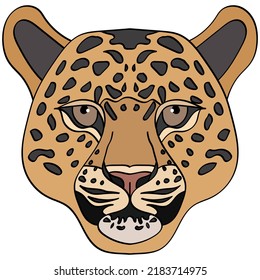 Leopard head illustration, sport mascot or team logo in flat style. Cartoon image in vector graphics.