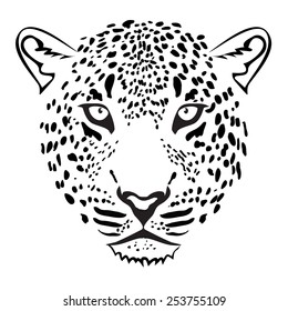 Leopard Head. illustration vector