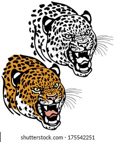 leopard head isolated on white background