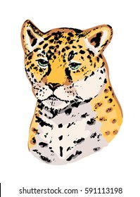 Leopard head isolated on white background.