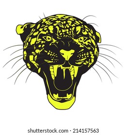 Leopard head negative