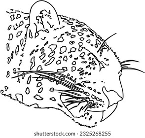 Leopard head predator animal with spots cat doodle linear cartoon coloring book
